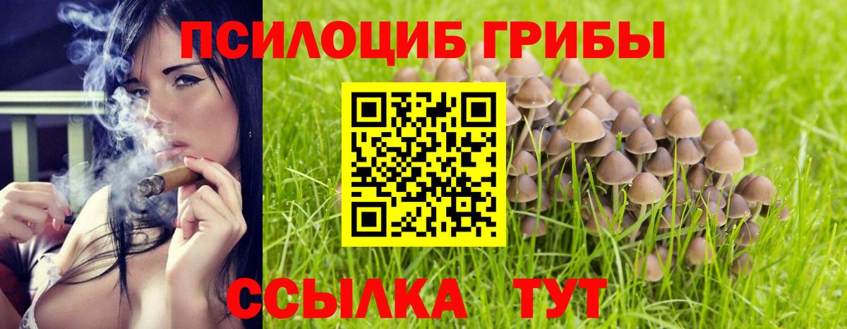 Галлюциногенные грибы мухоморы  Псилоцибиновые грибы GOLDEN TEACHER  наркотики  Выборг  Вход с VPN 